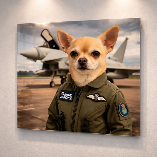 Premier Photograpic Acrylic Photo Panels From £79.99